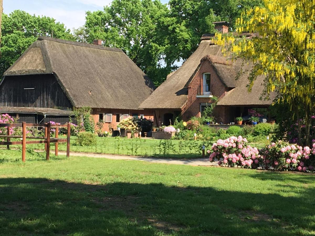 Huck'S Ferienhaeuser Borstel  Exterior foto